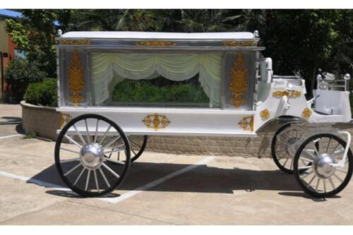 Ramos Casket - Motor Hearse